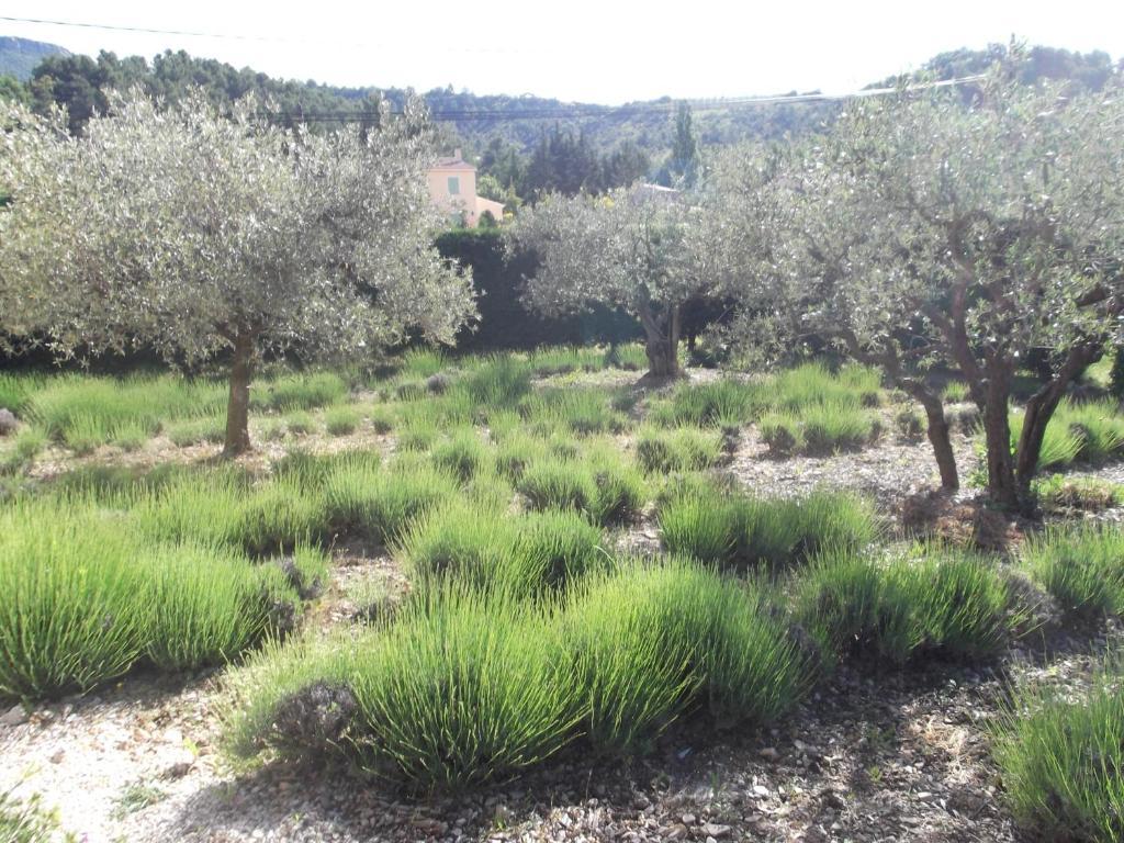 La Serenade Buis-les-Baronnies Eksteriør billede